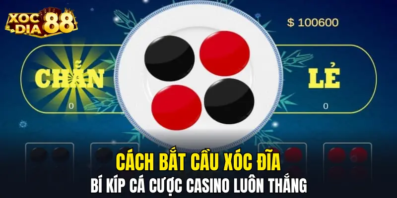 Cách Bắt Cầu Xóc Đĩa - Bí Kíp Cá Cược Casino Luôn Thắng