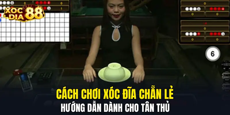 Cách chơi xóc đĩa chẵn lẻ hướng dẫn dành cho tân thủ 