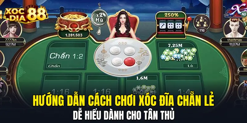 Hướng Dẫn Cách Chơi Xóc Đĩa Chẵn Lẻ Dễ Hiểu Dành Cho Tân Thủ