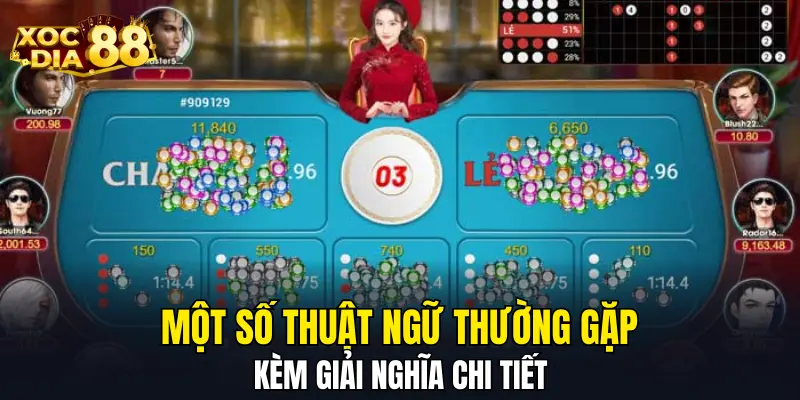 Một số thuật ngữ thường gặp kèm giải nghĩa chi tiết 