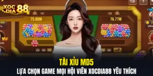 Tài Xỉu MD5 – Lựa Chọn Game Mọi Hội Viên XOCDIA88 Yêu Thích