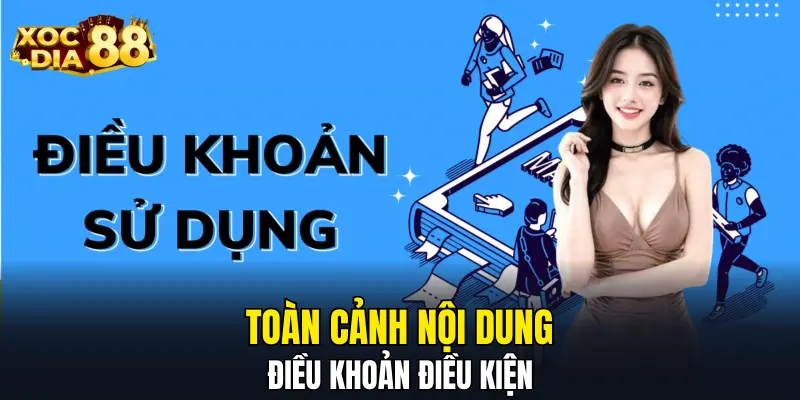 Toàn cảnh nội dung điều khoản điều kiện