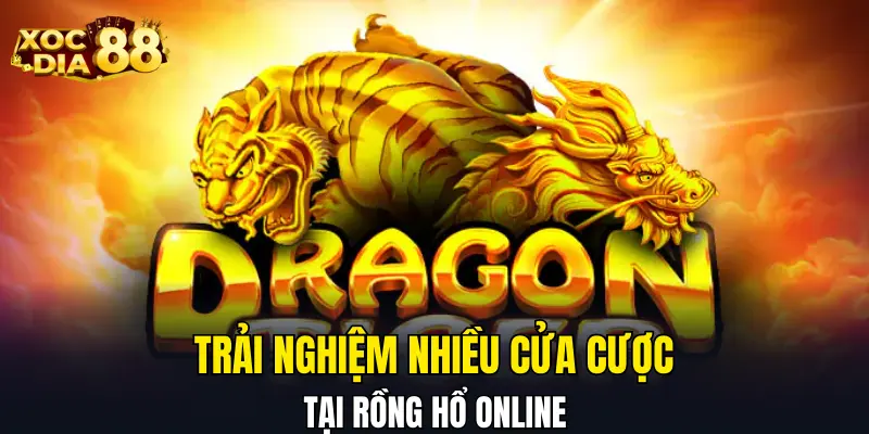 Trải nghiệm nhiều cửa cược tại Rồng Hổ online
